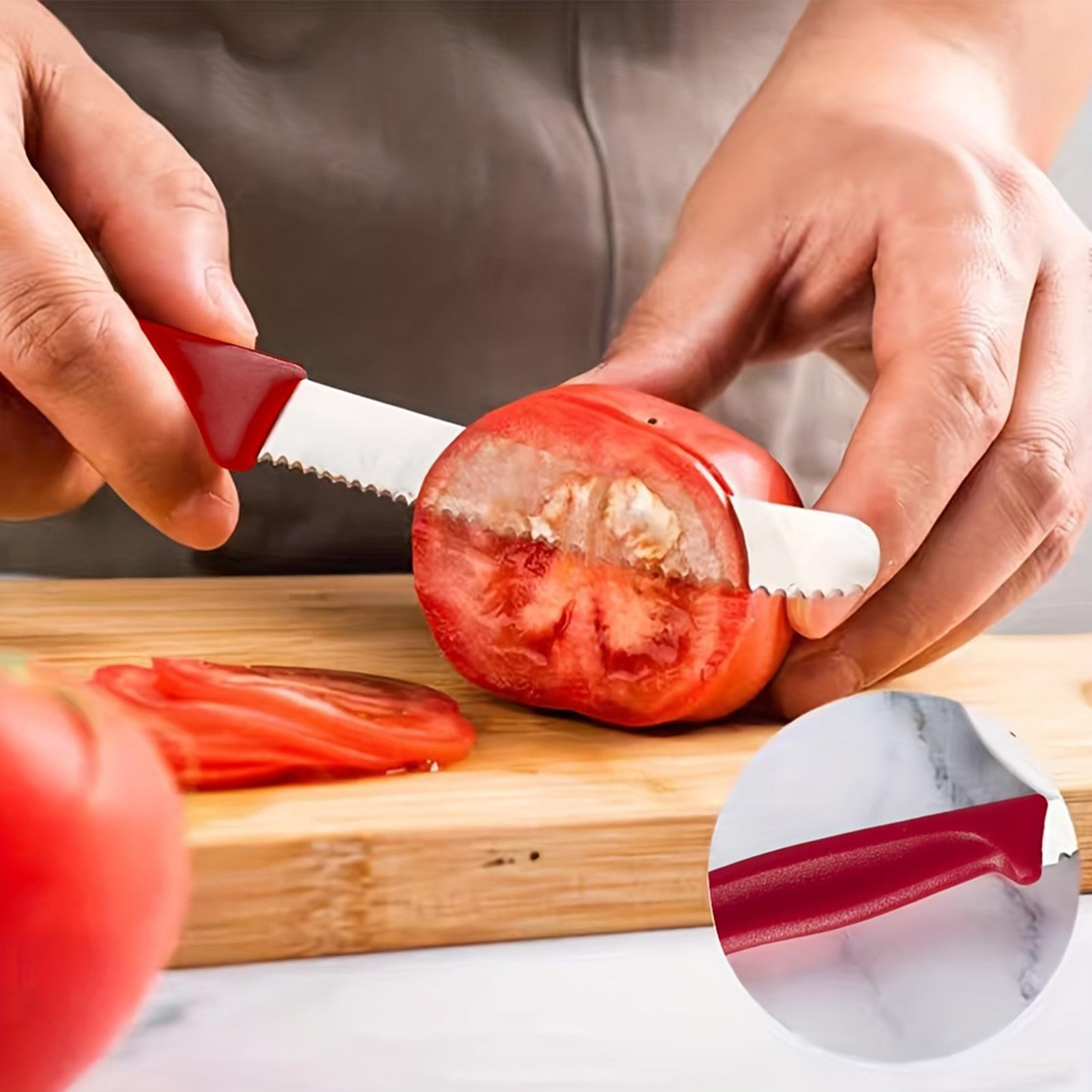 Zestaw 5 sztuk serwozwojów do  – Meal Prep Usa recenzja i cena